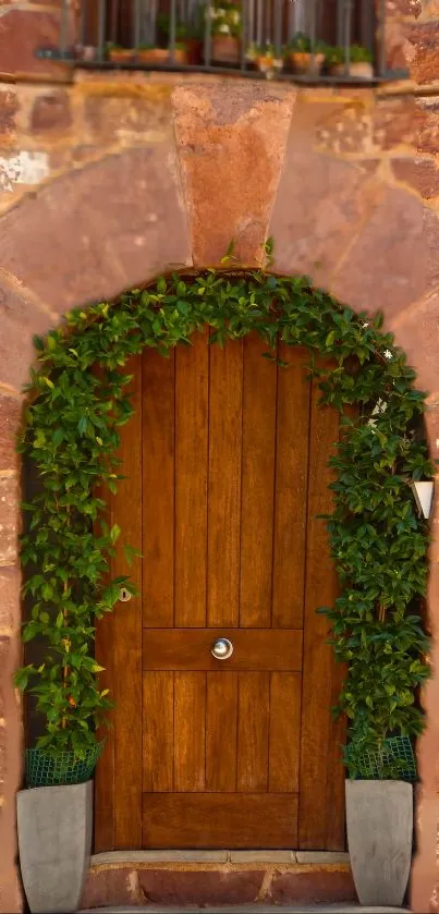 Rustic wooden door surrounded by green vines.