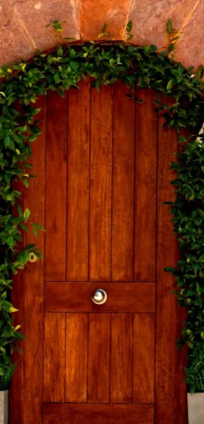 Rustic wooden door with green vines.