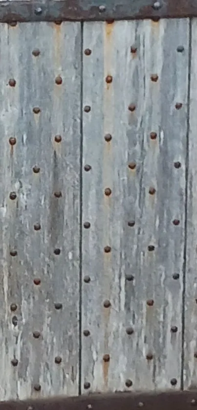 Rustic wooden door set in stone wall, showcasing vintage charm.