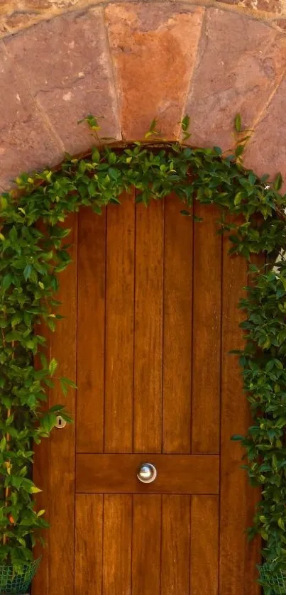 Rustic wooden door with greenery and stone arch.