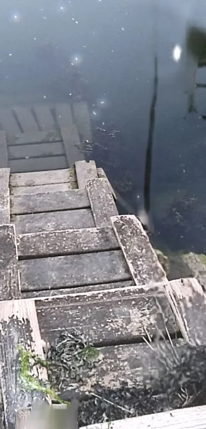 Rustic wooden steps leading into reflective water.