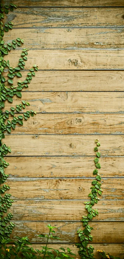 Rustic wooden wall with green climbing vines, nature-themed design.