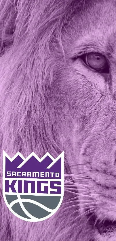 Sacramento Kings lion themed purple wallpaper for mobile