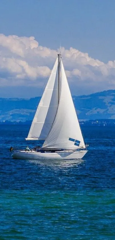 Sailboat on a calm blue ocean with fluffy clouds overhead.