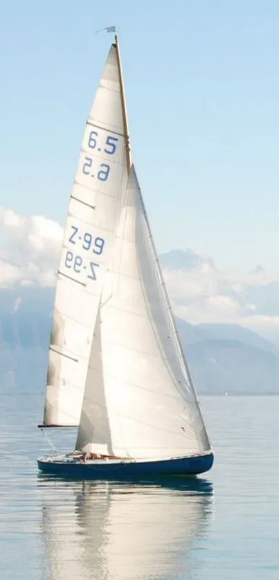 Sailing boat on calm waters with a clear sky.