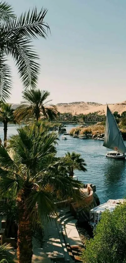 Sailboat on a sunny tropical river with palm trees.