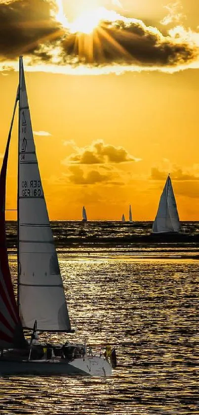 Sailboats silhouetted against a golden sunset on the ocean.