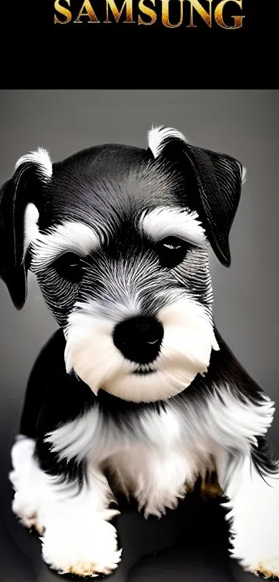 Black and white puppy wallpaper with Samsung logo.