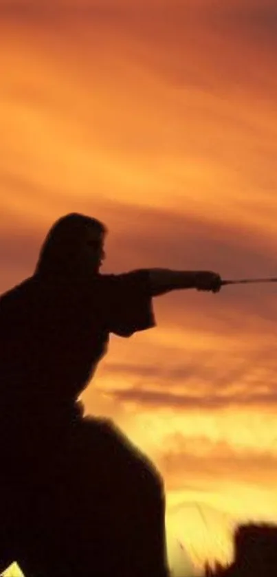 Silhouette of a samurai with sword against a vibrant sunset sky.