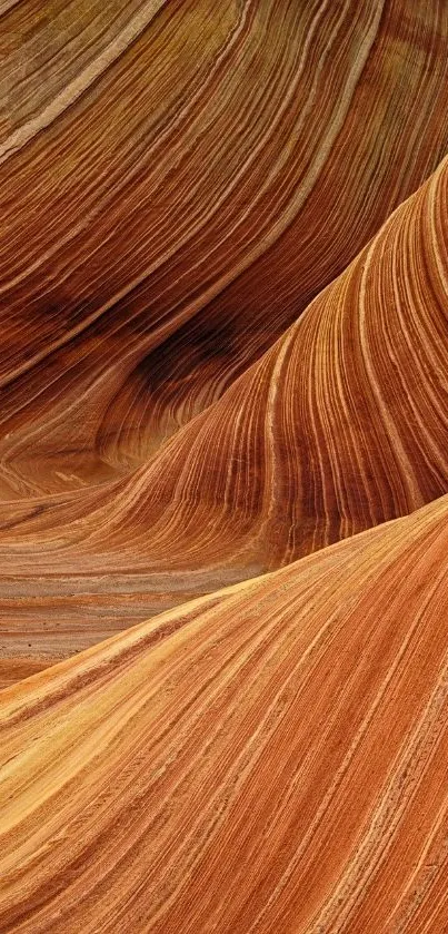 Stunning desert wallpaper with orange and gold stripes forming sand waves.