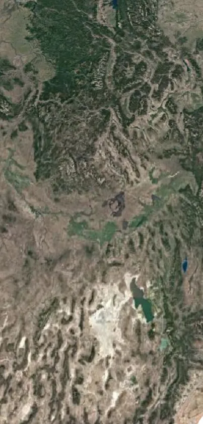 Satellite view of Earth's diverse terrain with natural colors.