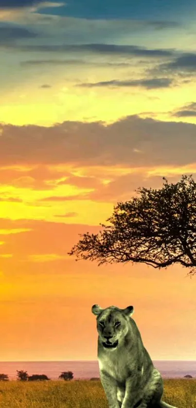 Lioness under vibrant savannah sunset sky, silhouetted by trees.