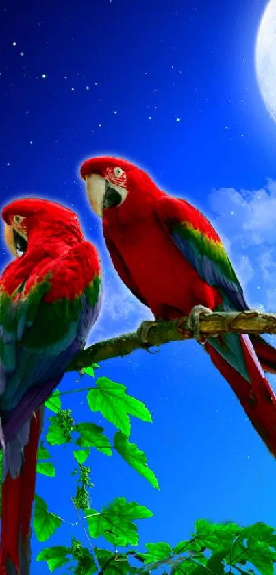 Scarlet macaws perched under a moonlit sky on a vibrant night jungle wallpaper.