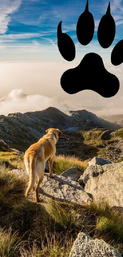 Dog on a mountain with a large paw print, under a blue sky.