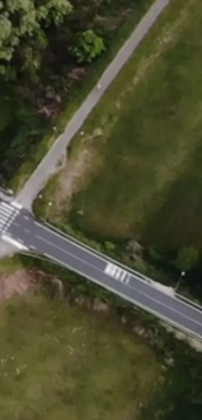 Aerial view of a road splitting lush green fields and dense forest.