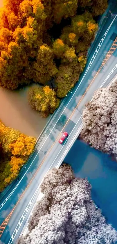 Aerial view of autumn trees with a bridge crossing.