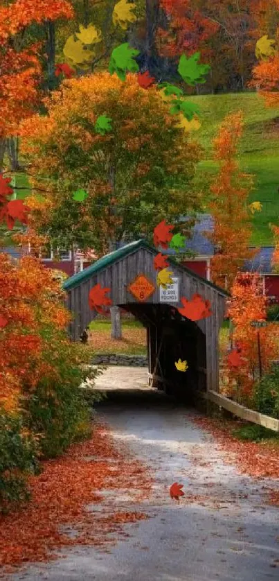 Picturesque autumn bridge surrounded by colorful foliage.