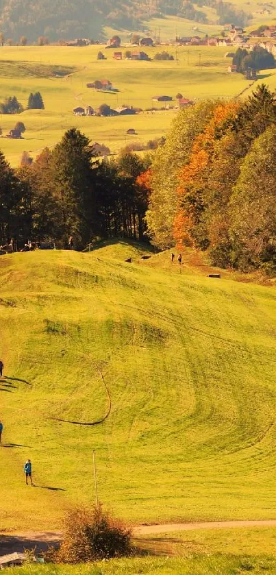 Scenic view of rolling hills in an autumn countryside setting with bright foliage.