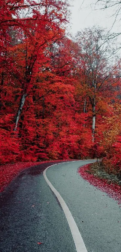 Scenic autumn path with vibrant red foliage in a quiet forest.