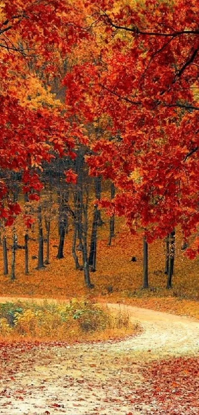 Curved path through a vibrant autumn forest with red leaves.