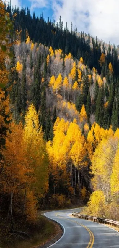 Scenic autumn road through vibrant forest.