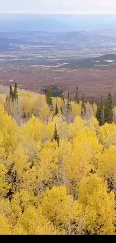 Vibrant golden forest stretching towards distant mountains under a clear sky.