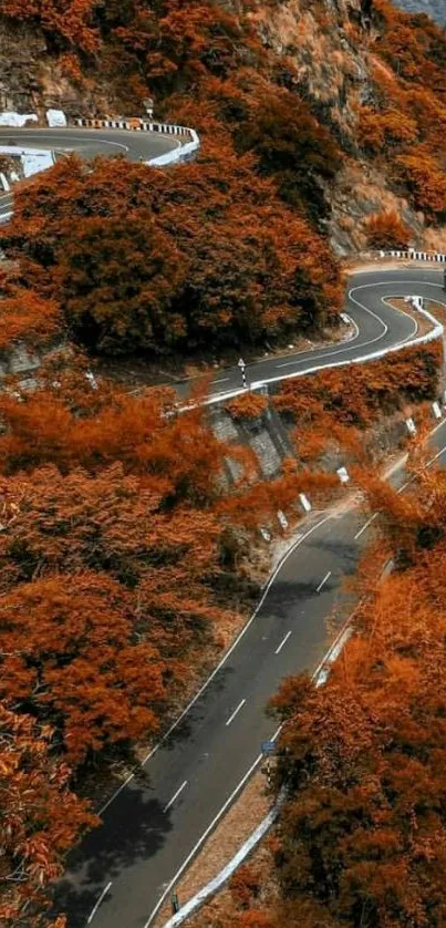 Winding mountain road with vibrant autumn foliage creating a scenic view.