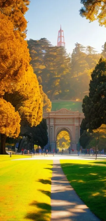 A sunlit autumn path through a scenic park with vibrant golden trees.