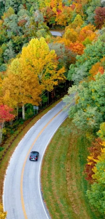 Winding road through vibrant autumn forest.