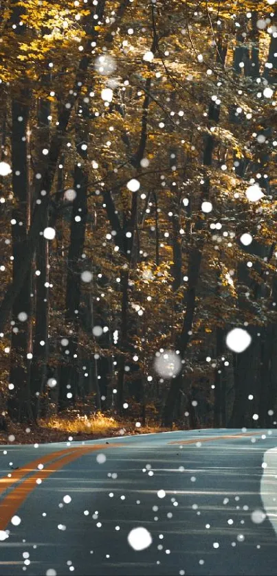 Scenic autumn road with falling snow in forest.