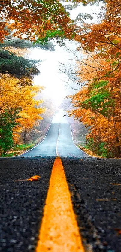 Scenic autumn road through vibrant fall foliage in an uplifting mobile wallpaper.