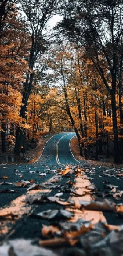 Scenic road through autumn forest with vibrant orange foliage.