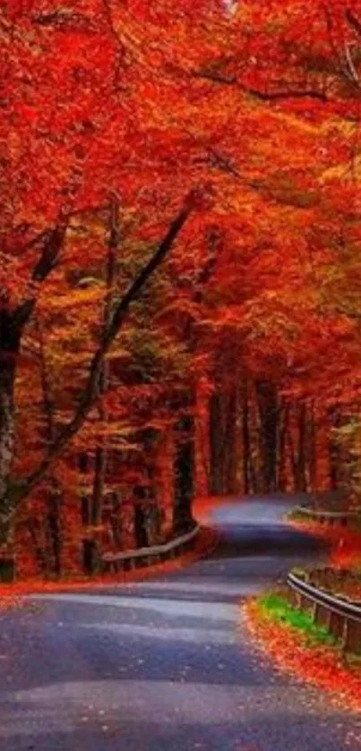 Winding road through vibrant red autumn forest.