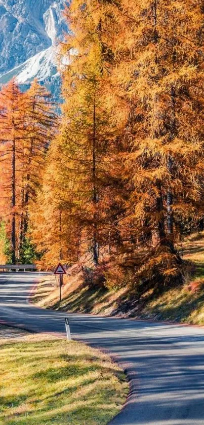 A winding road through vibrant orange autumn trees with a mountain backdrop.