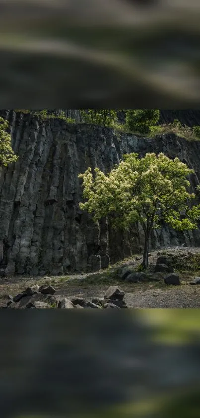 Basalt cliff with a single tree in lush greenery.