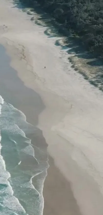 Aerial view of a sandy beach with turquoise waves and lush greenery.