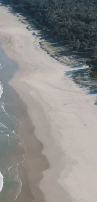 Aerial view of a serene beach with white sand and ocean waves.