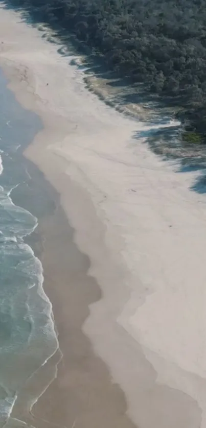 Aerial view of a scenic sandy beach meeting gentle ocean waves.