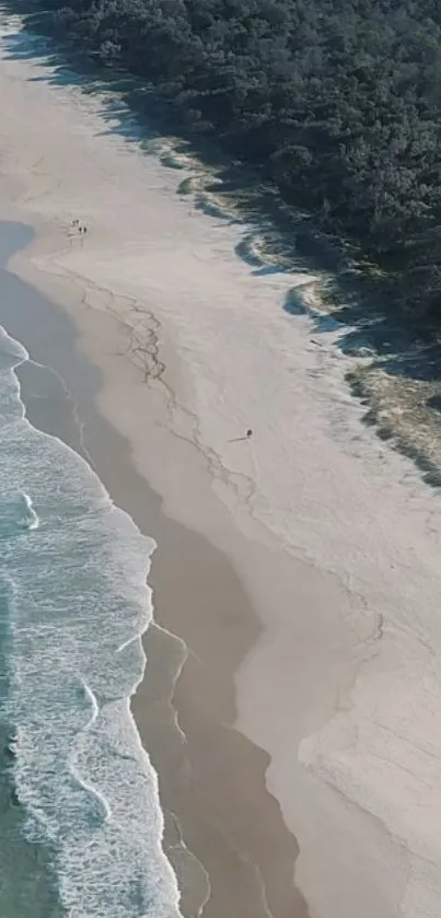 Aerial view of a serene sand beach and ocean waves.