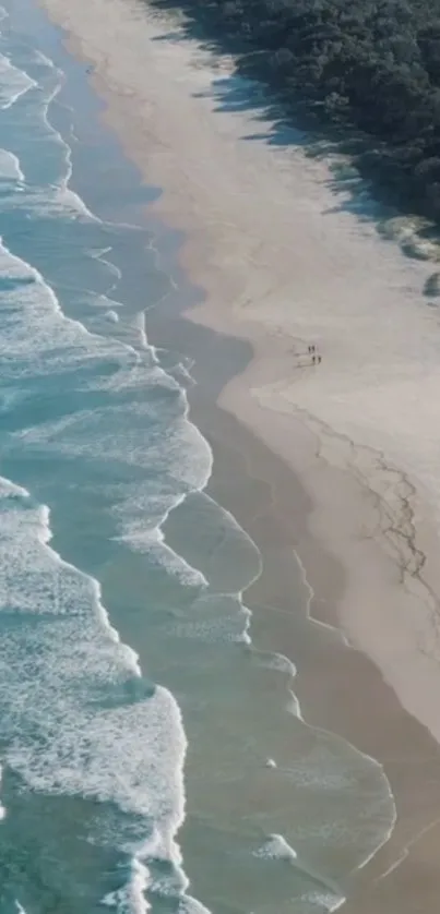 Aerial view of a tranquil beach with waves and lush greenery on the shoreline.