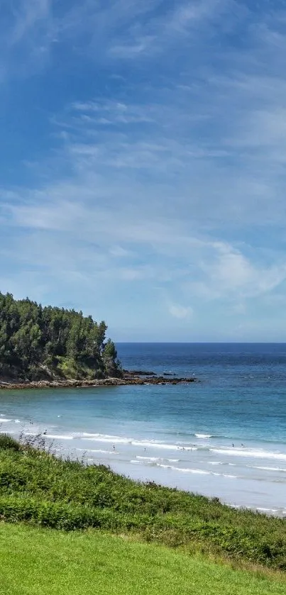 A stunning beach and forest landscape with a clear blue sky.