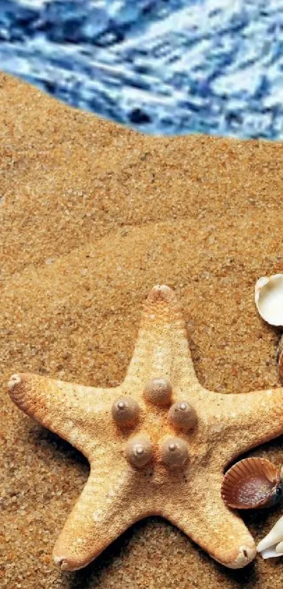 Beach wallpaper with seashells and a starfish on sandy shore.