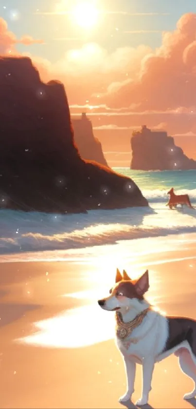 A serene beach scene with a dog and sunset backdrop, ideal for mobile wallpaper.