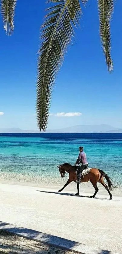 Horseback rider on a tropical beach with palm trees and azure ocean.