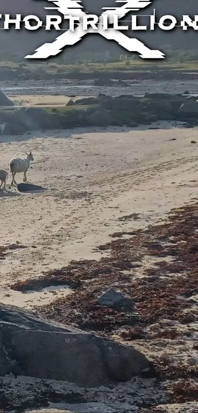 Beach landscape with deer and seaweed, under Thortrillion X branding.