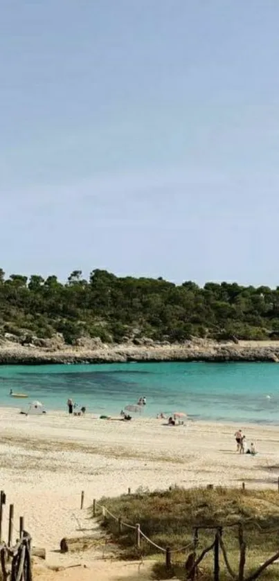 Pathway leading to a scenic beach with azure waters and clear sky.