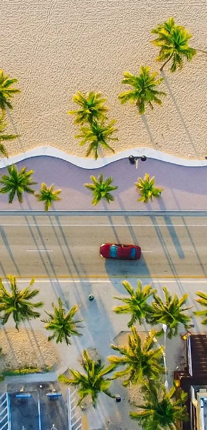 Aerial view of scenic beach road with palm trees and sand.