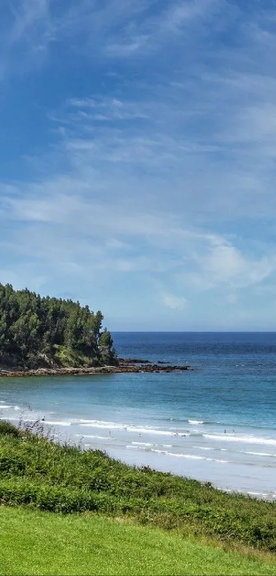 Scenic beach with blue sky, ocean, and green coast.