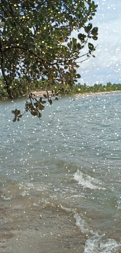 Serene beach with sparkling water and blue sky.