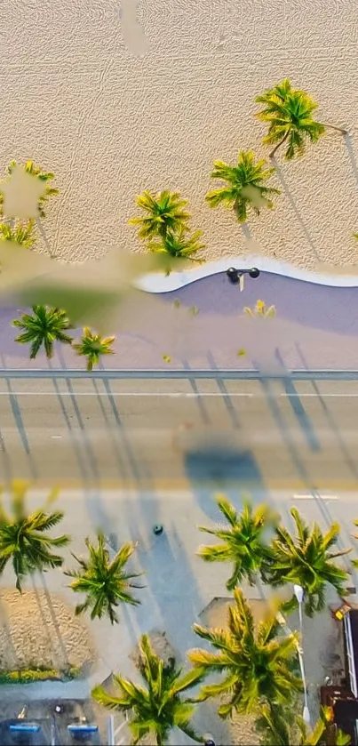 Aerial view of a scenic beachside road with palm trees and sand.